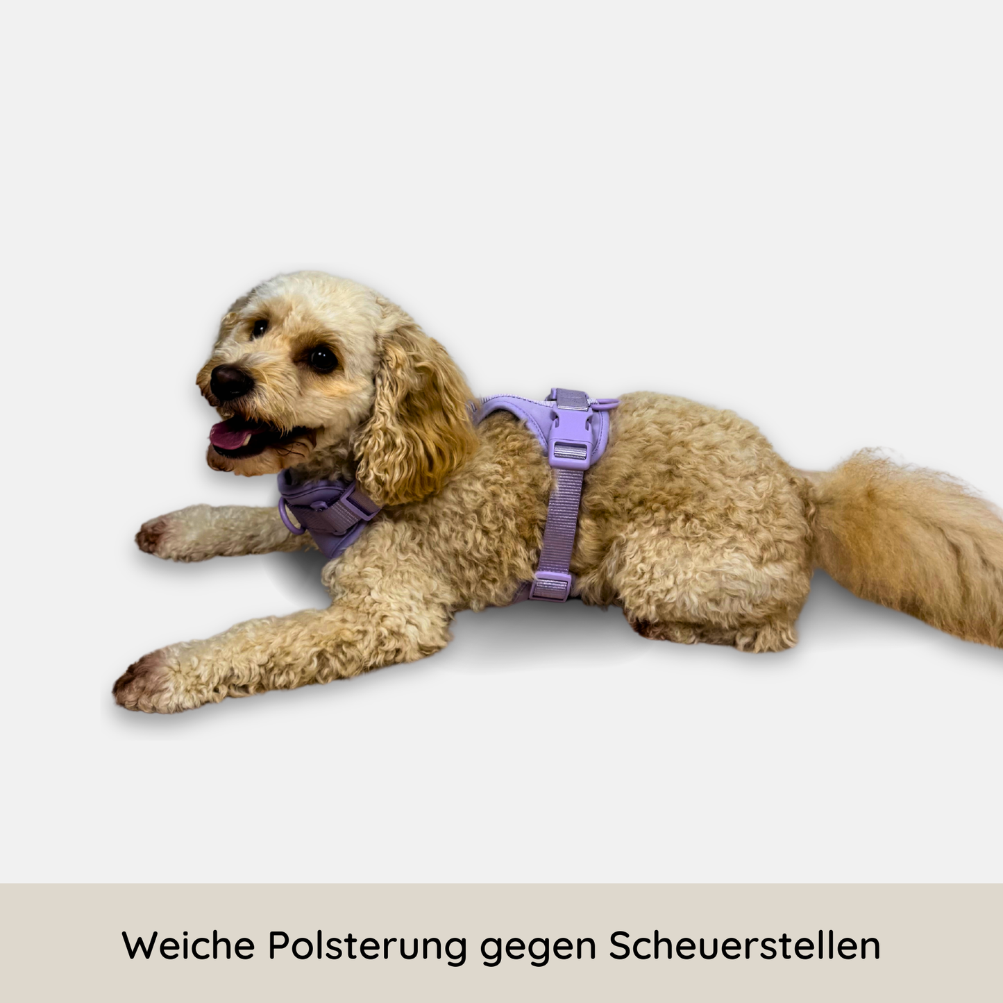 No-Pull Hundegeschirr Pura