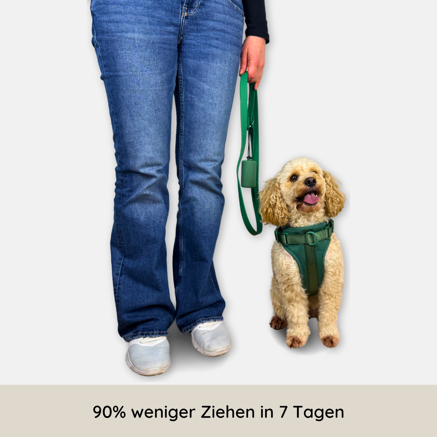 No-Pull Hundegeschirr Pura