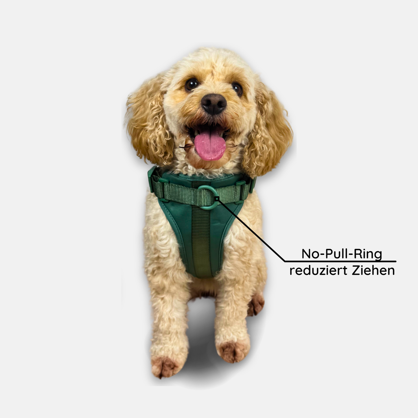No-Pull Hundegeschirr Pura
