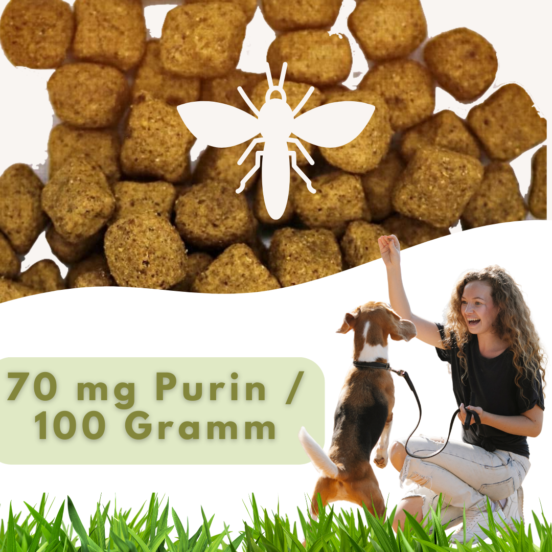 Insekten Purinarm