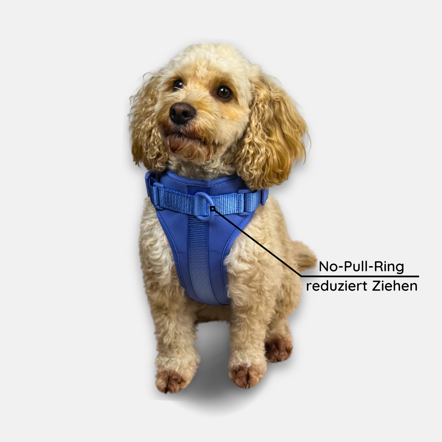 No-Pull Hundegeschirr Pura