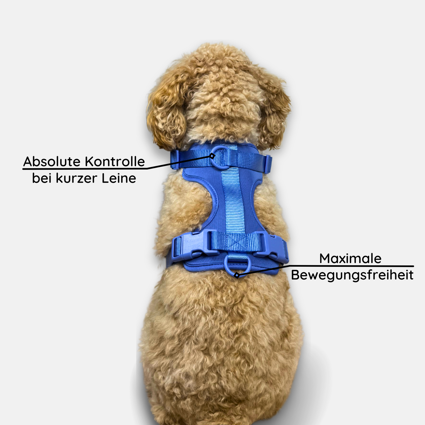 No-Pull Hundegeschirr Pura