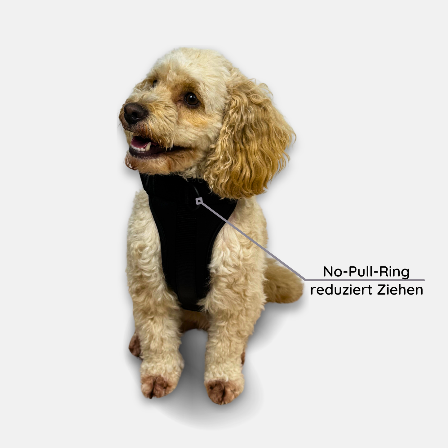No-Pull Hundegeschirr Pura