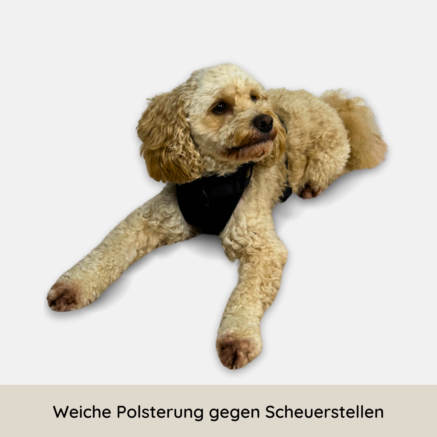 No-Pull Hundegeschirr Pura