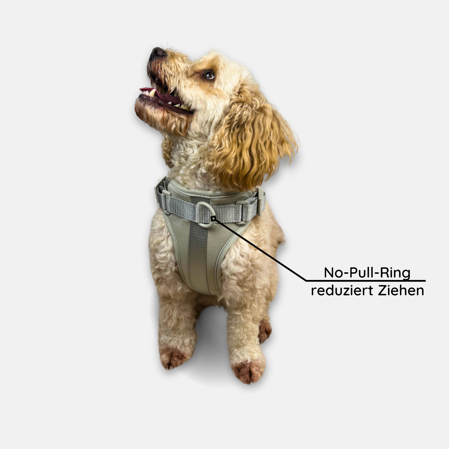 No-Pull Hundegeschirr Pura