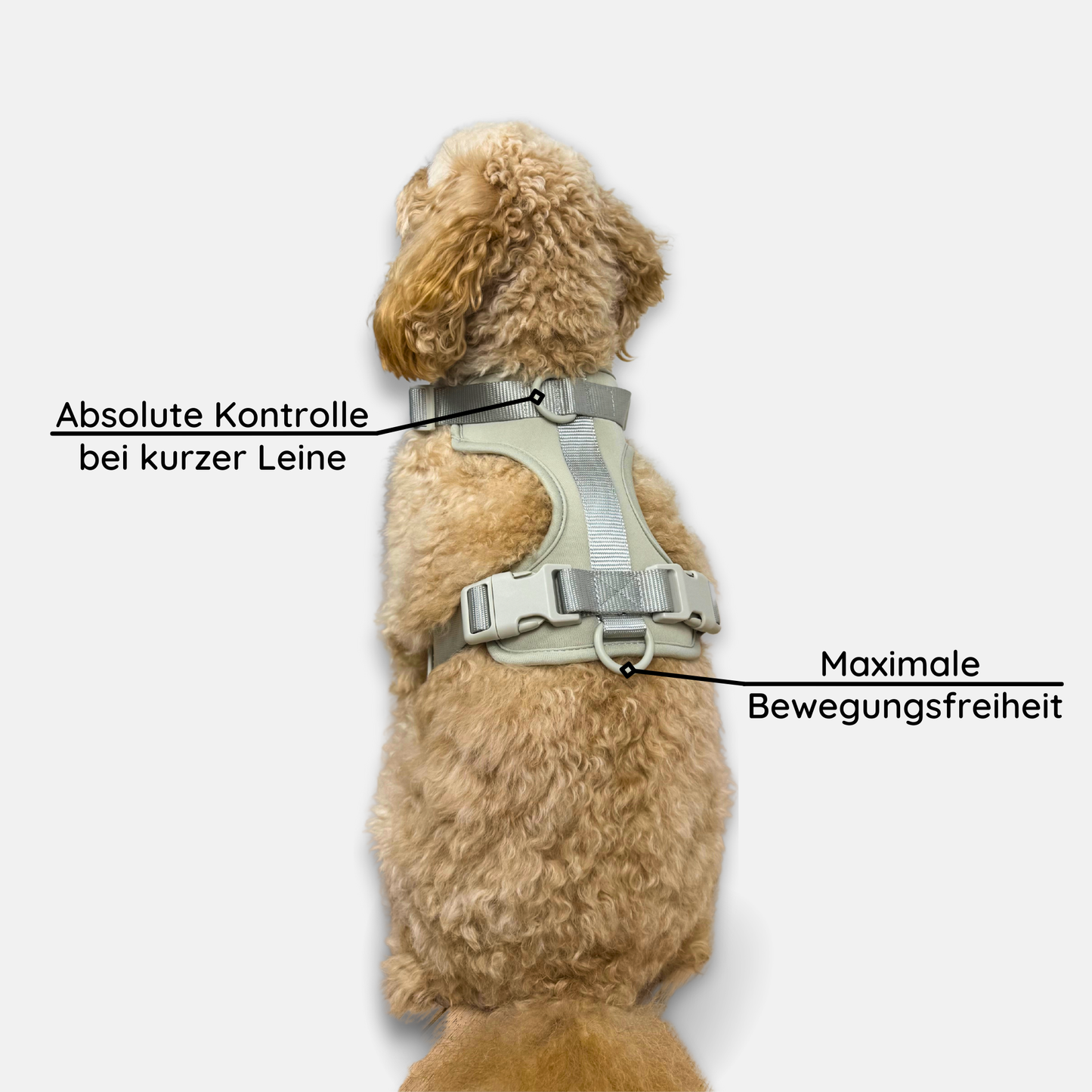 No-Pull Hundegeschirr Pura