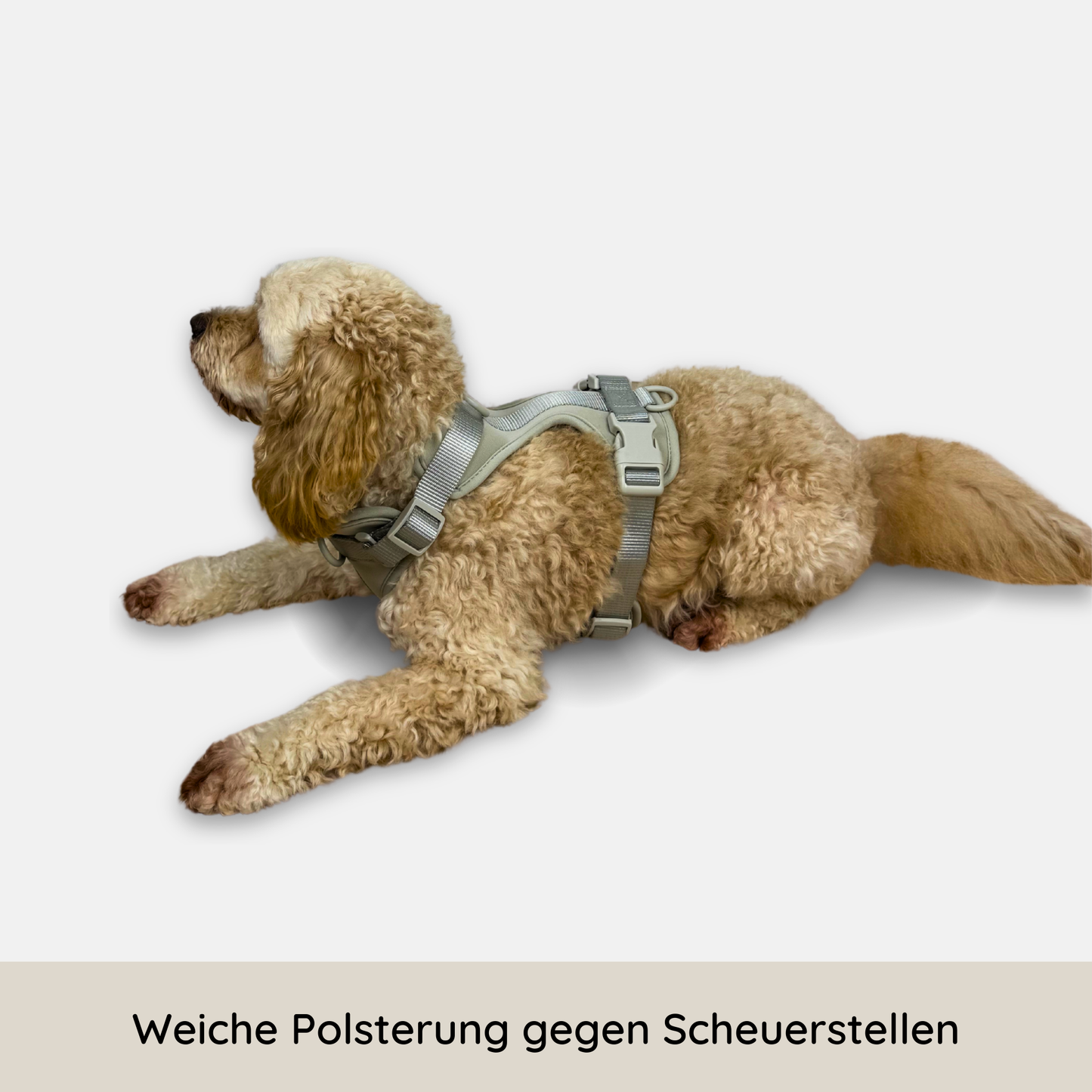 No-Pull Hundegeschirr Pura