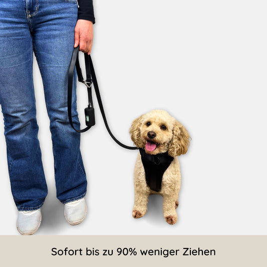 No-Pull Hundegeschirr Pura