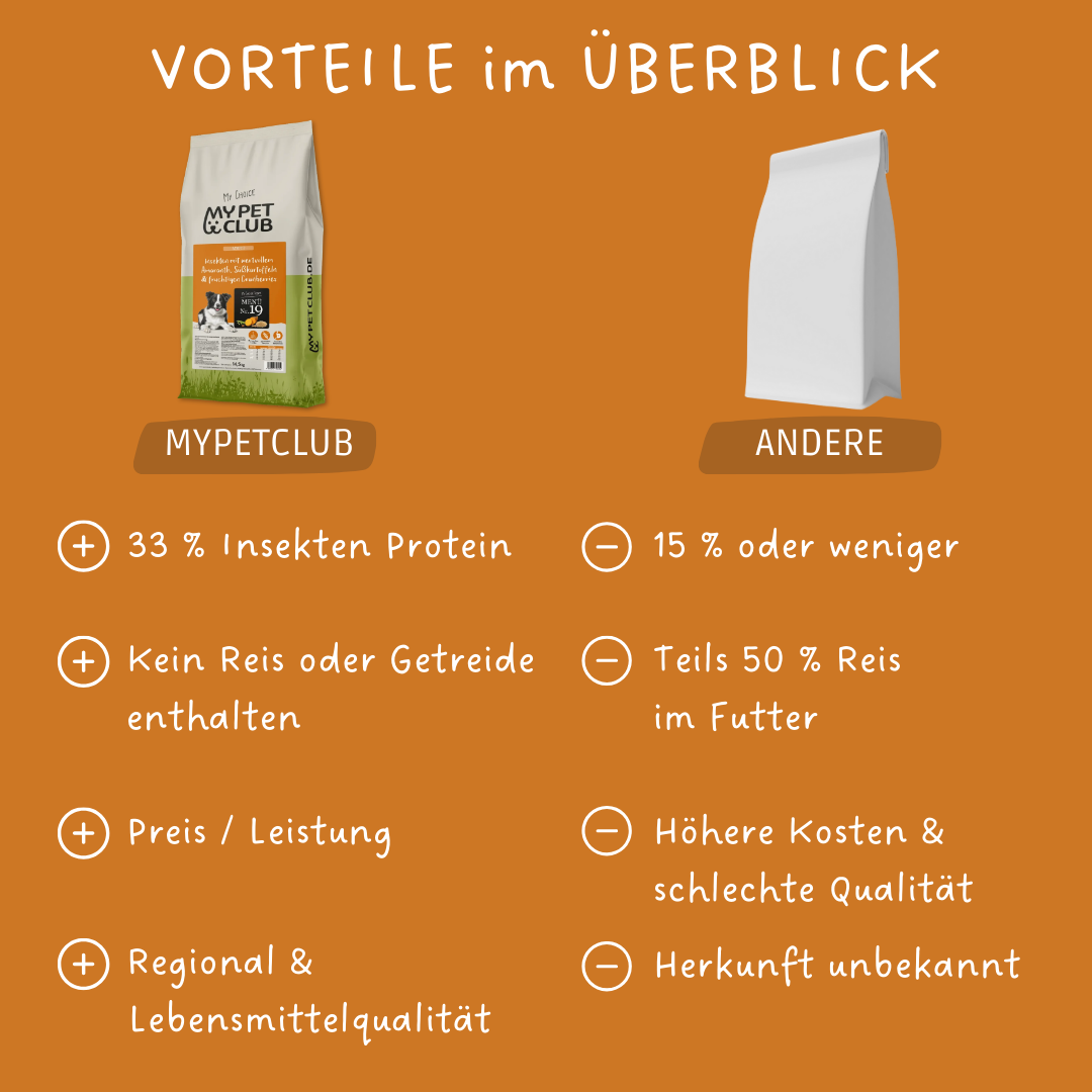 Insekten