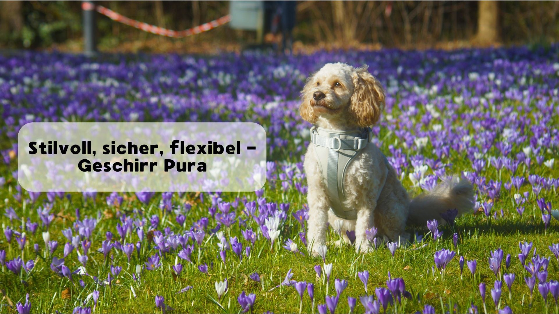 custom-slideshow-image-desktop-block_gcYfiA