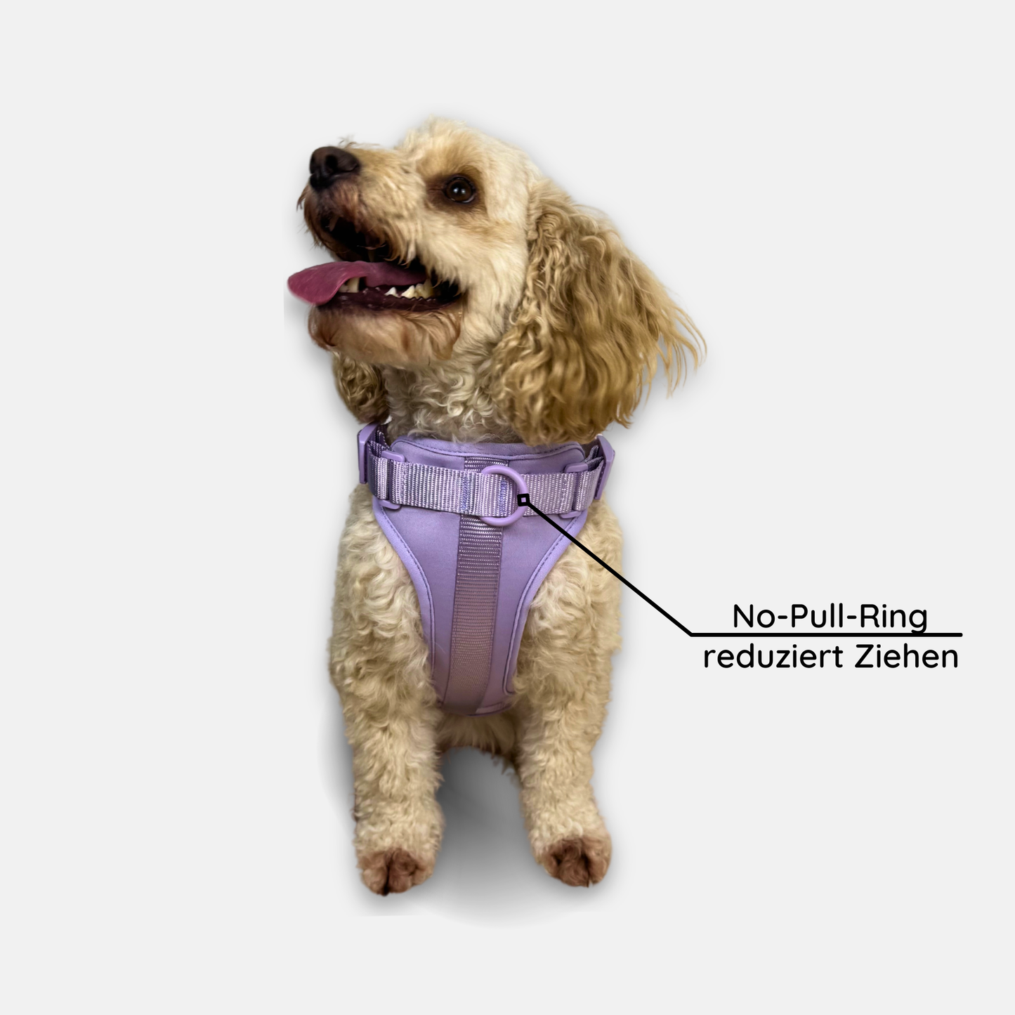 No-Pull Hundegeschirr Pura