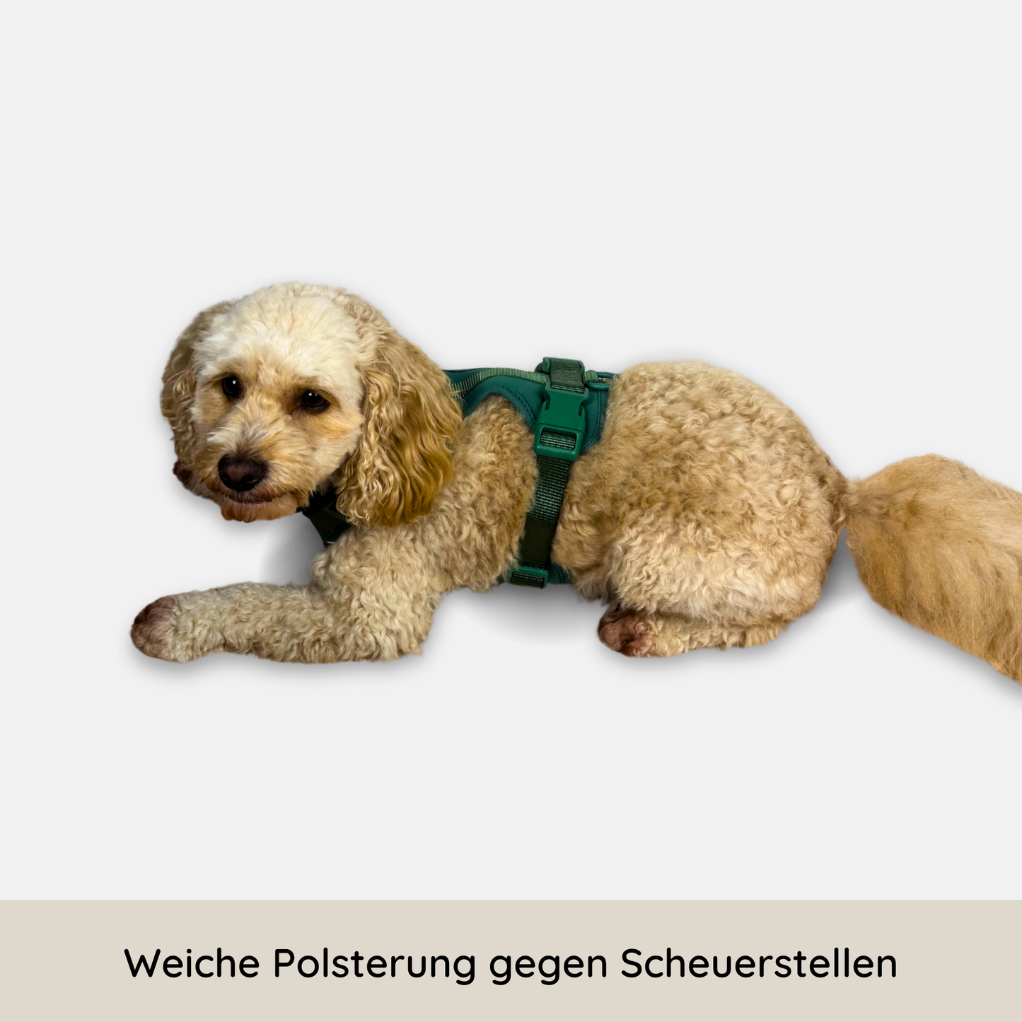 No-Pull Hundegeschirr Pura