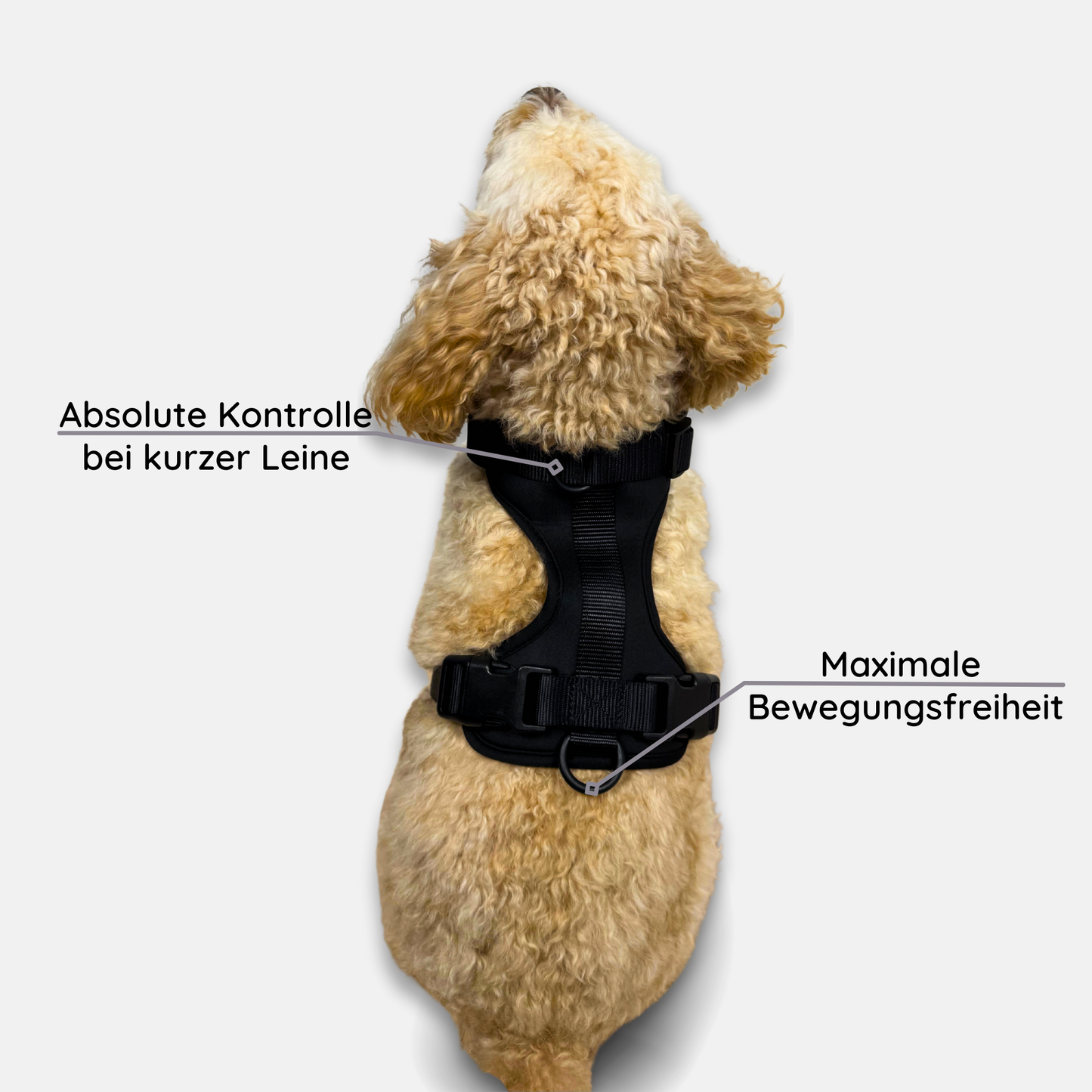 No-Pull Hundegeschirr Pura