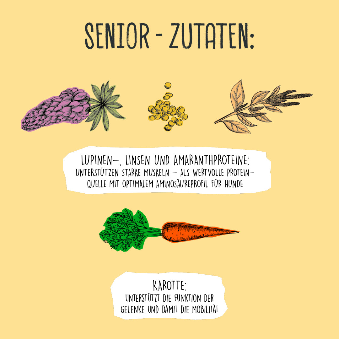 Senior Erbsen & Hirse