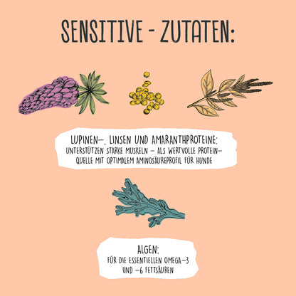 Sensitive Lupinenprotein